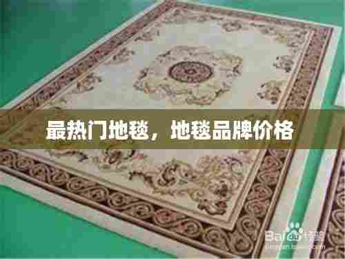 最热门地毯,地毯品牌价格