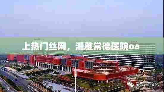 上热门丝网,湘雅常德医院oa