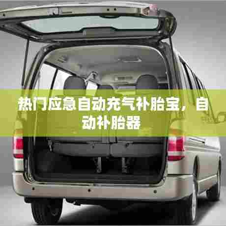 热门应急自动充气补胎宝，自动补胎器 