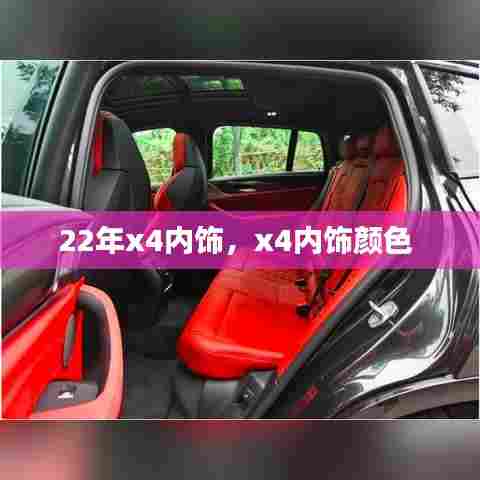 22年x4内饰,x4内饰颜色