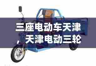 三座电动车天津，天津电动三轮车规定能上牌照 