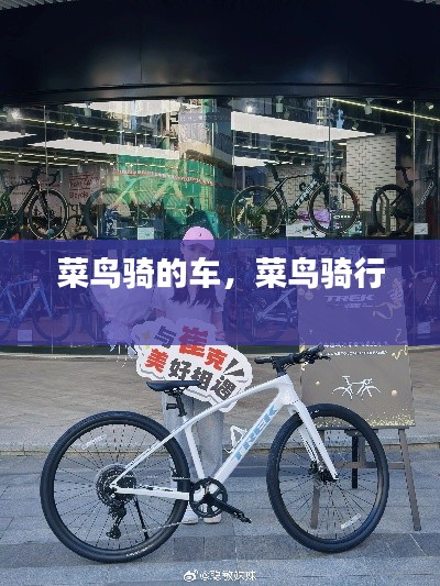 菜鸟骑的车,菜鸟骑行
