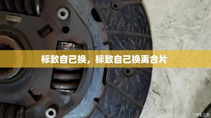 标致自己换,标致自己换离合片