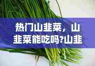 热门山韭菜,山韭菜能吃吗?山韭菜不仅能吃,功效作用还很强大呢!