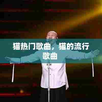 猫热门歌曲,猫的流行歌曲