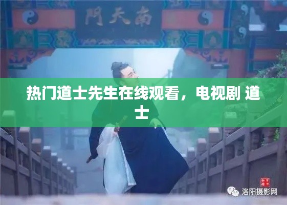 热门道士先生在线观看,电视剧 道士