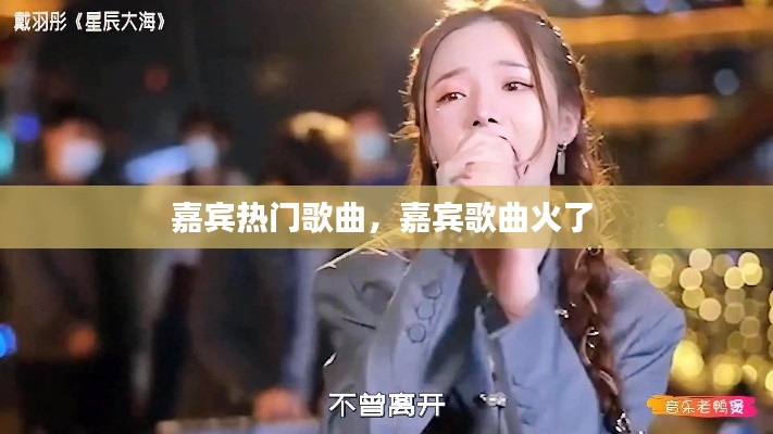 嘉宾热门歌曲,嘉宾歌曲火了
