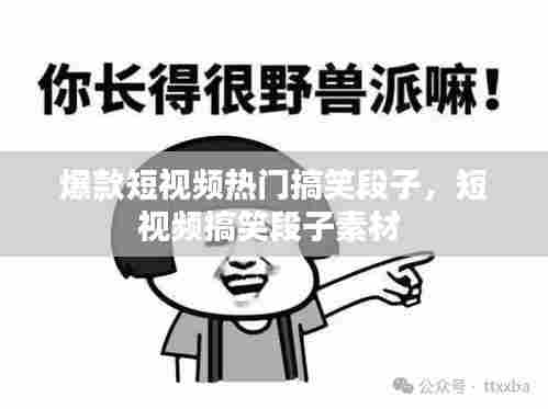 爆款短视频热门搞笑段子,短视频搞笑段子素材