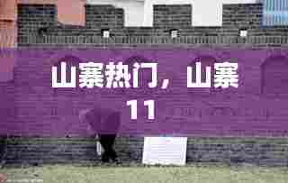 山寨热门,山寨11