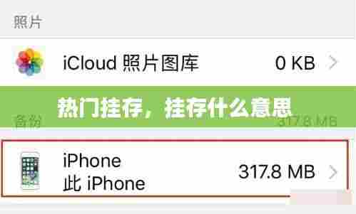 热门挂存，挂存什么意思 