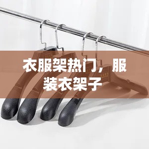 衣服架热门,服装衣架子