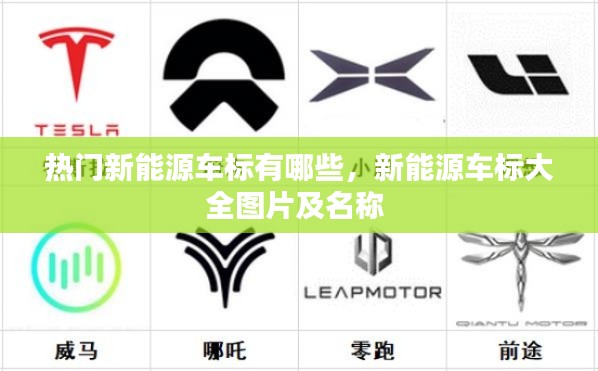 热门新能源车标有哪些，新能源车标大全图片及名称 