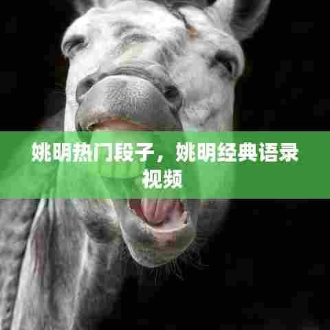 姚明热门段子,姚明经典语录视频