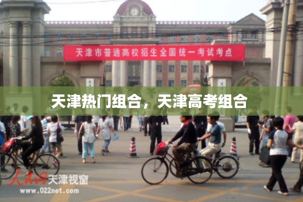 天津热门组合,天津高考组合