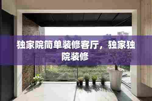 独家院简单装修客厅,独家独院装修