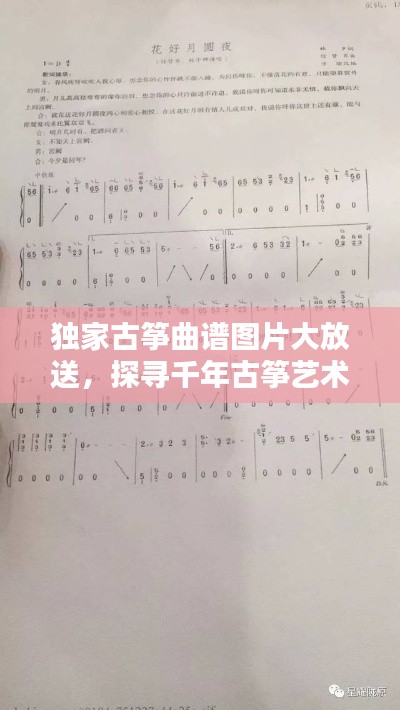 独家古筝曲谱图片大放送,探寻千年古筝艺术的独特魅力