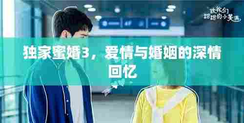 独家蜜婚3，爱情与婚姻的深情回忆