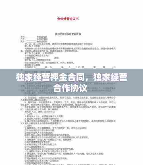 独家经营押金合同,独家经营合作协议