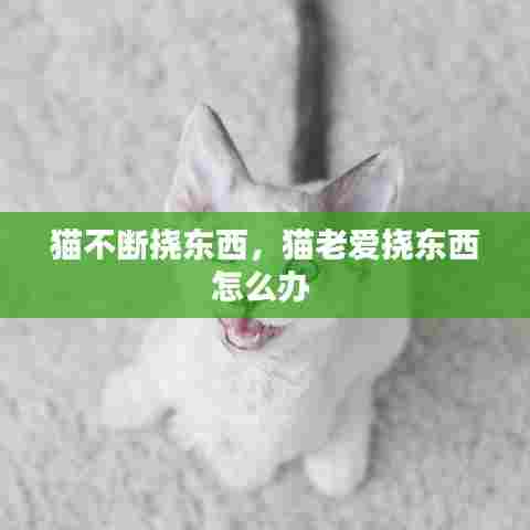 猫不断挠东西,猫老爱挠东西怎么办