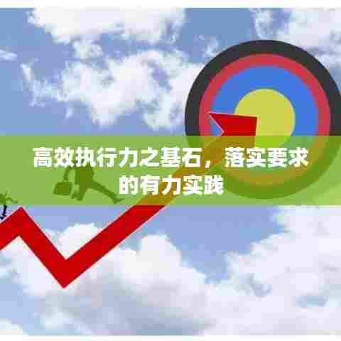 高效执行力之基石，落实要求的有力实践