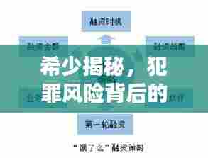 希少揭秘,犯罪风险背后的真相与应对策略独家解析
