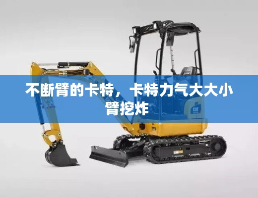 不断臂的卡特,卡特力气大大小臂挖炸