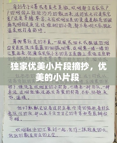 独家优美小片段摘抄,优美的小片段