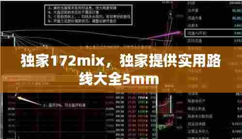 独家172mix,独家提供实用路线大全5mm