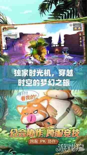 独家时光机,穿越时空的梦幻之旅