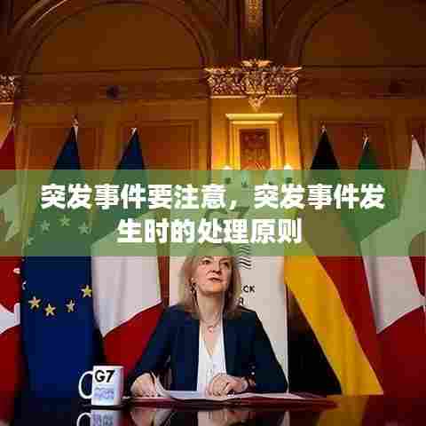 突发事件要注意,突发事件发生时的处理原则