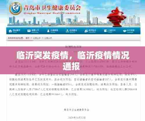 临沂突发疫情,临沂疫情情况通报