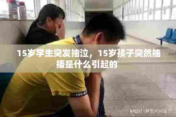 15岁学生突发抽泣,15岁孩子突然抽搐是什么引起的