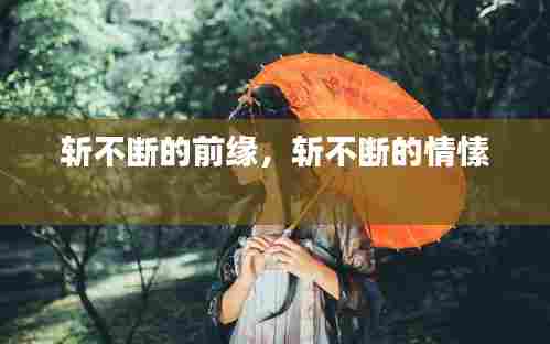 斩不断的前缘，斩不断的情愫 