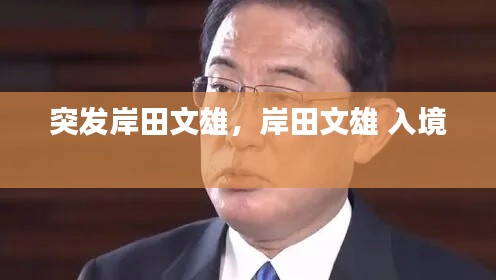 突发岸田文雄,岸田文雄 入境