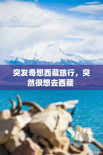 突发奇想西藏旅行,突然很想去西藏