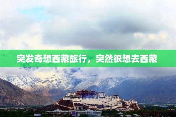 突发奇想西藏旅行,突然很想去西藏