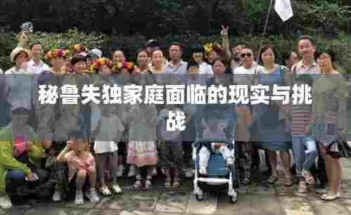 秘鲁失独家庭面临的现实与挑战