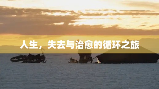 人生,失去与治愈的循环之旅