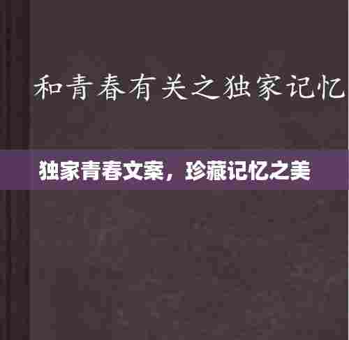 独家青春文案,珍藏记忆之美