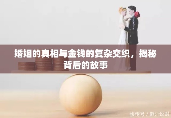婚姻的真相与金钱的复杂交织,揭秘背后的故事