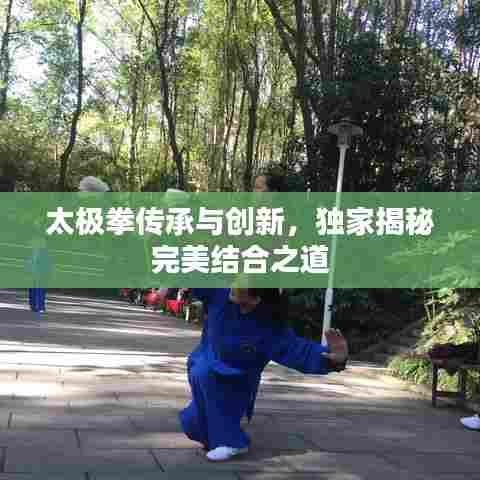 太极拳传承与创新,独家揭秘完美结合之道