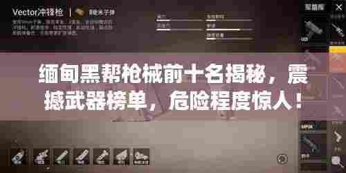 缅甸黑帮枪械前十名揭秘，震撼武器榜单，危险程度惊人！