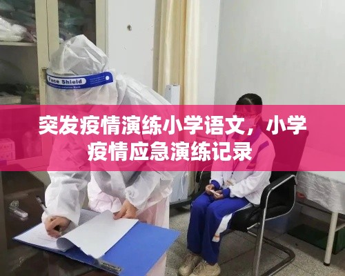 突发疫情演练小学语文,小学疫情应急演练记录
