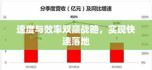 速度与效率双赢战略,实现快速落地