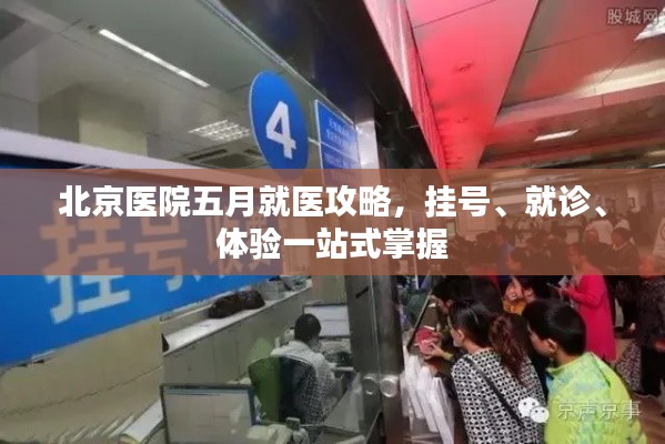 北京医院五月就医攻略,挂号、就诊、体验一站式掌握