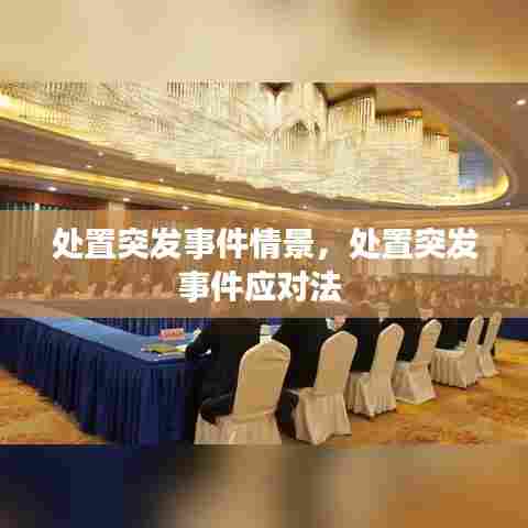 处置突发事件情景,处置突发事件应对法