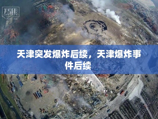 天津突发爆炸后续,天津爆炸事件后续