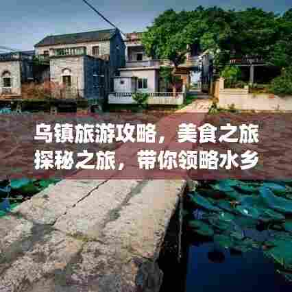 乌镇旅游攻略，美食之旅探秘之旅，带你领略水乡美食风情！
