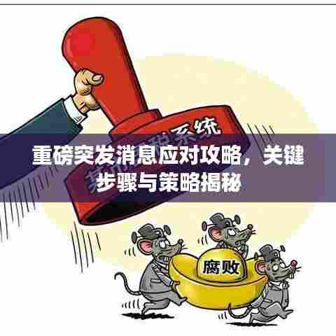 重磅突发消息应对攻略，关键步骤与策略揭秘