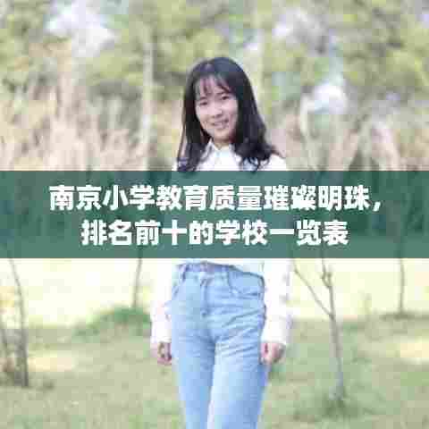 南京小学教育质量璀璨明珠,排名前十的学校一览表